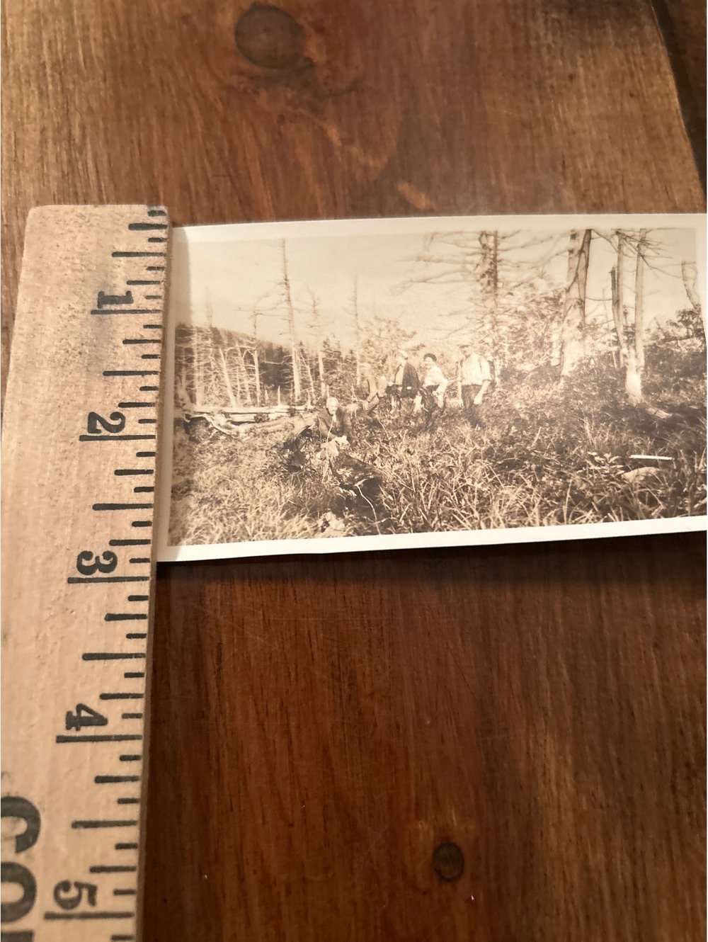 Picture ephemera